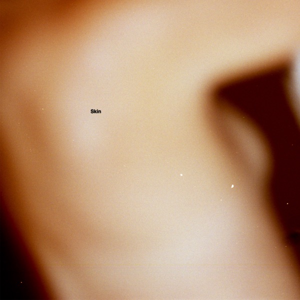 Skin - Single album cover