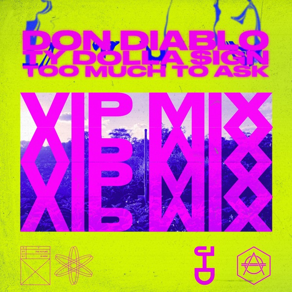 Too Much to Ask (feat. Ty Dolla $ign) [VIP Mix] - Single album cover
