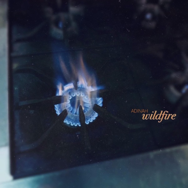 Wildfire (feat. Jesse Barrera & Patrick Hizon) - Single album cover