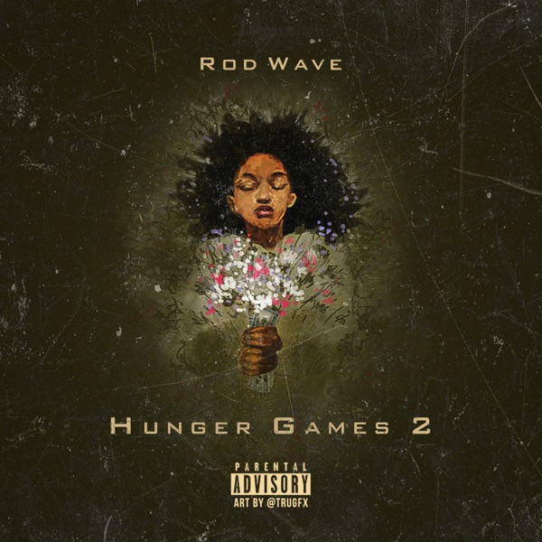 Hunger Games 2 album cover