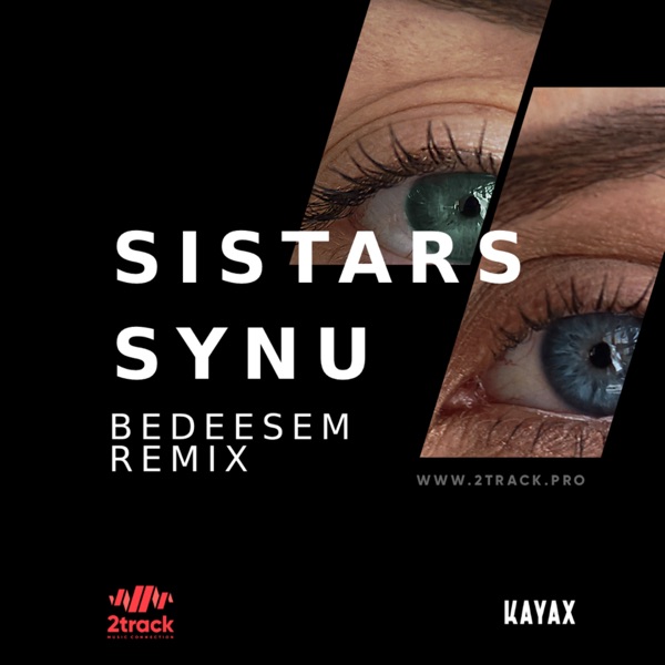 Synu (Bedeesem Remix) - Single album cover