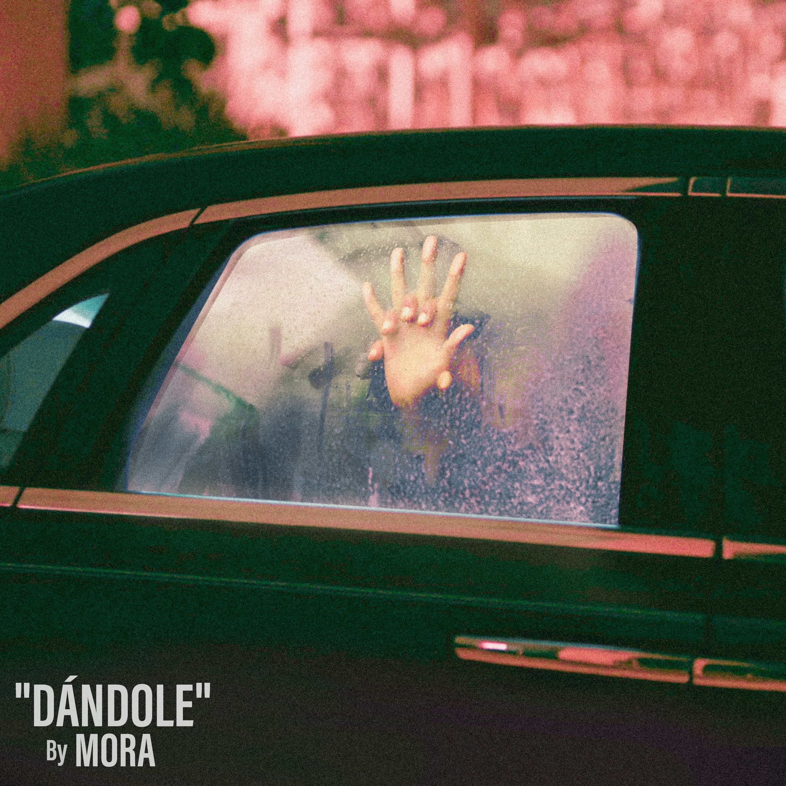 Dandole - Single album cover