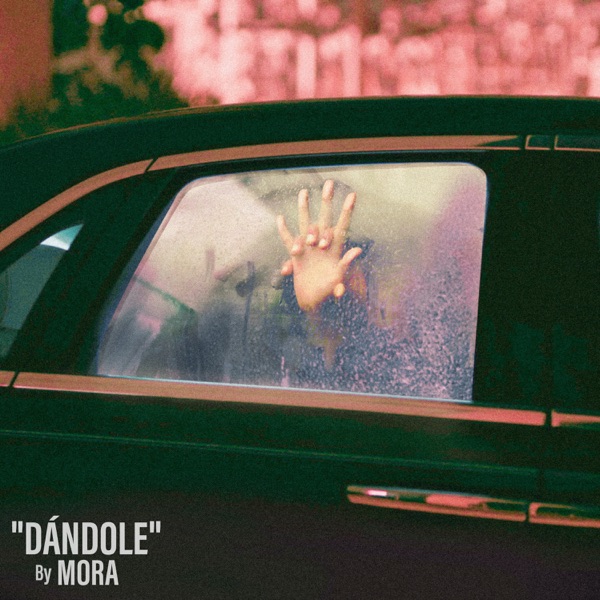 Dandole - Single album cover