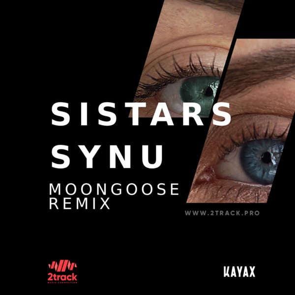 Synu (Moongoose Remix) - Single album cover