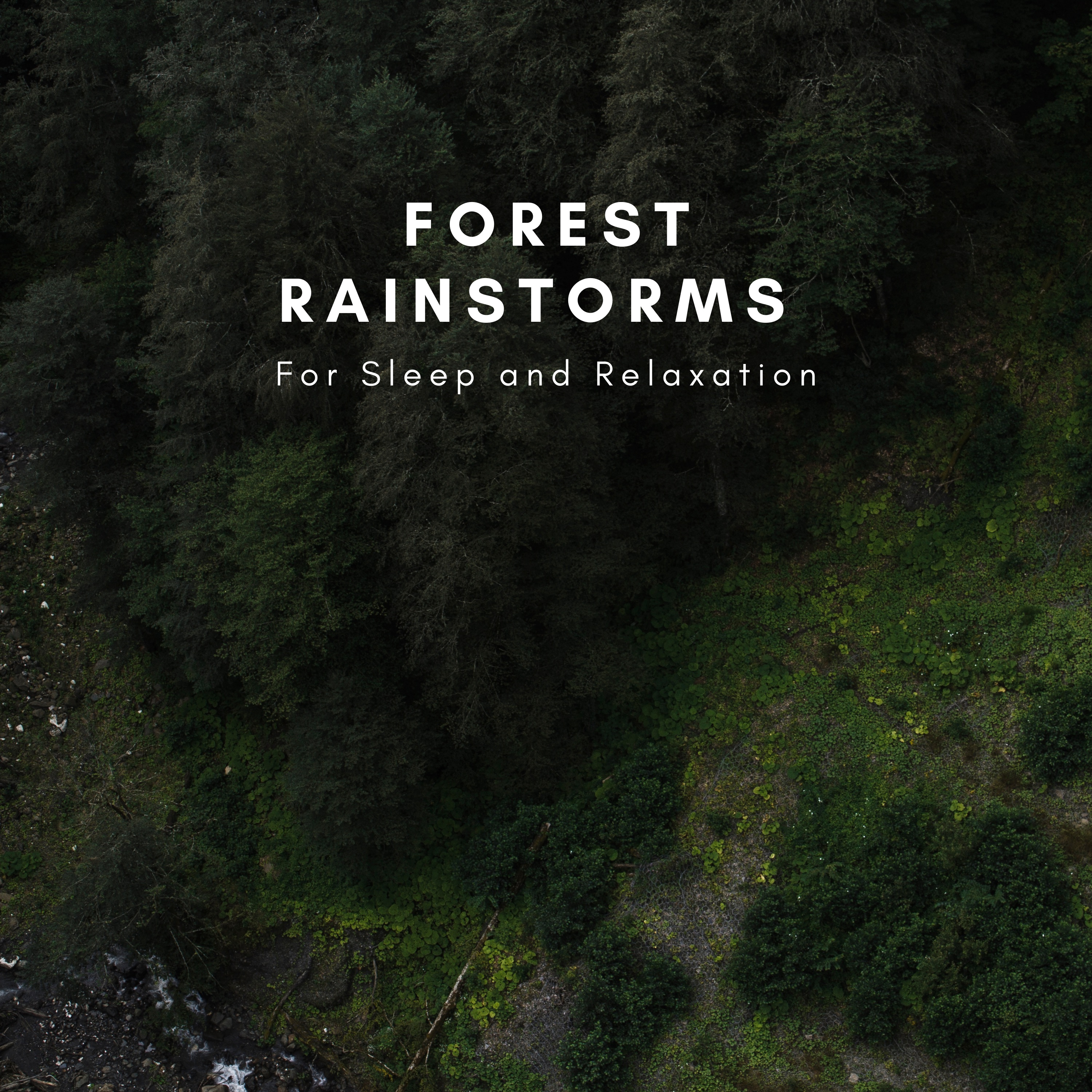 Forest Rainstorms For Sleep and Relaxation album cover
