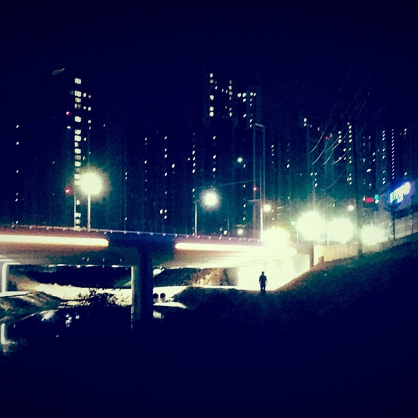 Downfall of the Neon Youth album cover