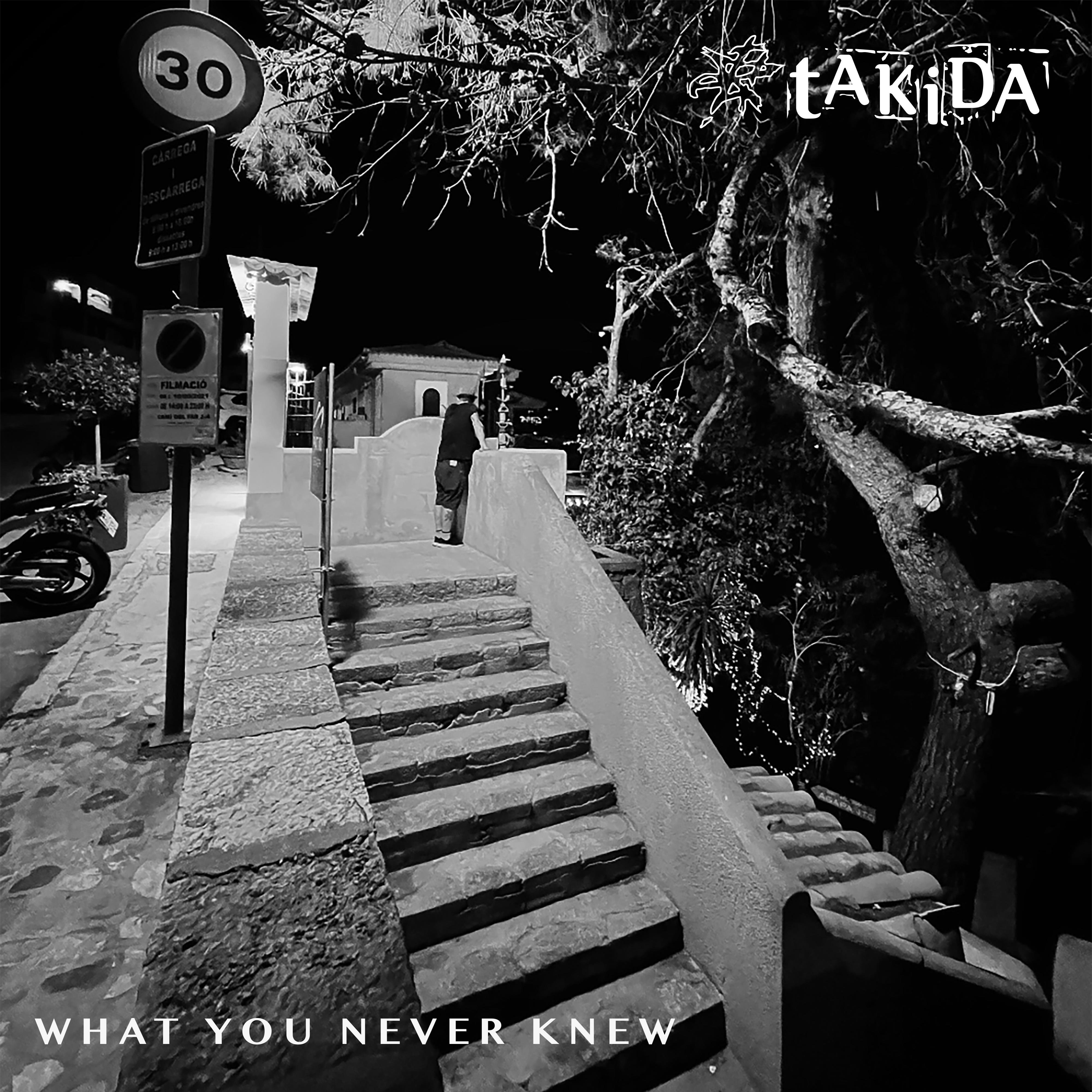 What You Never Knew - Single album cover