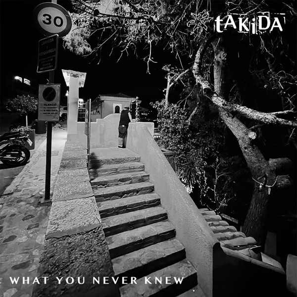 What You Never Knew - Single album cover