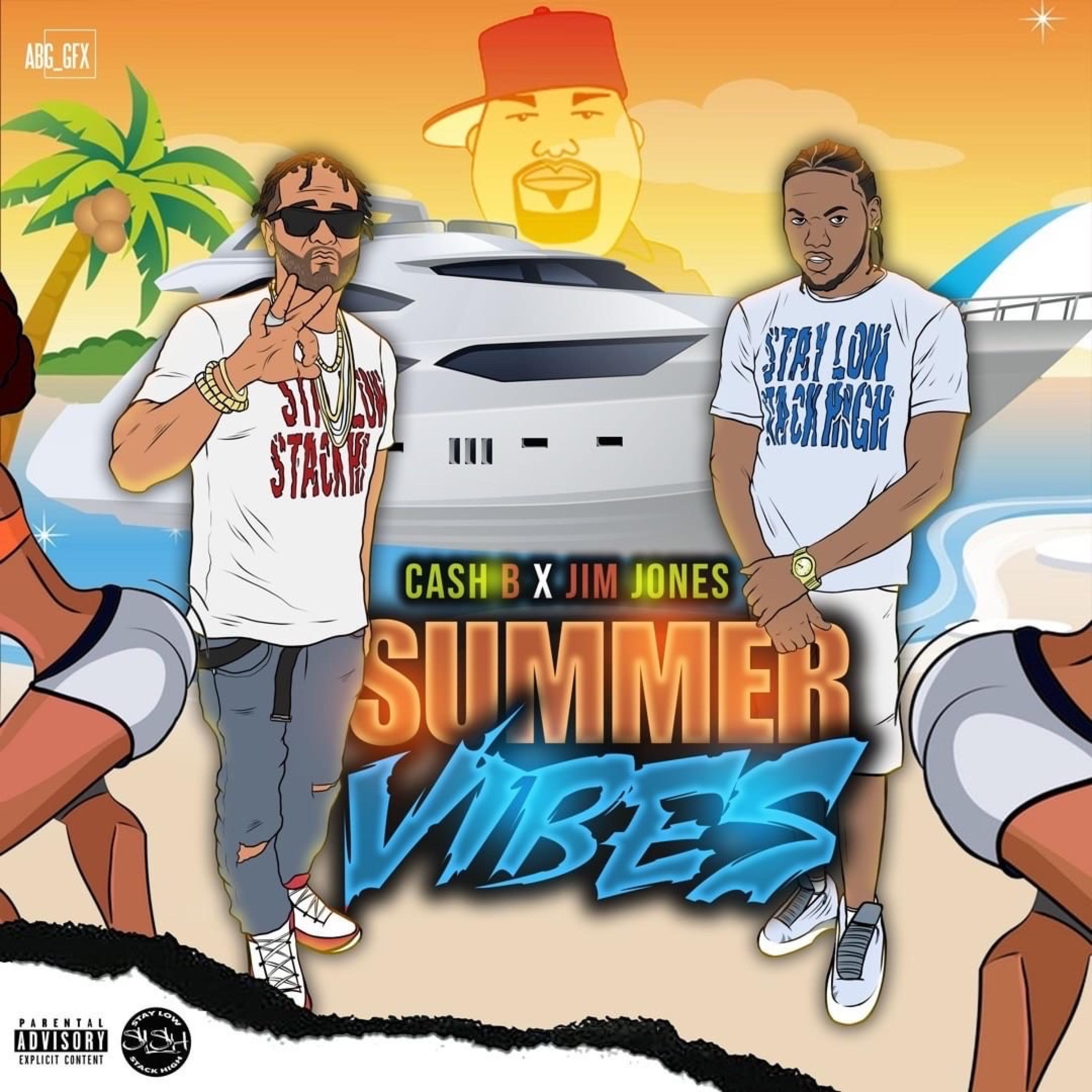 SUMMER VIBES (Pun Alive) (feat. Jim Jones) - Single album cover