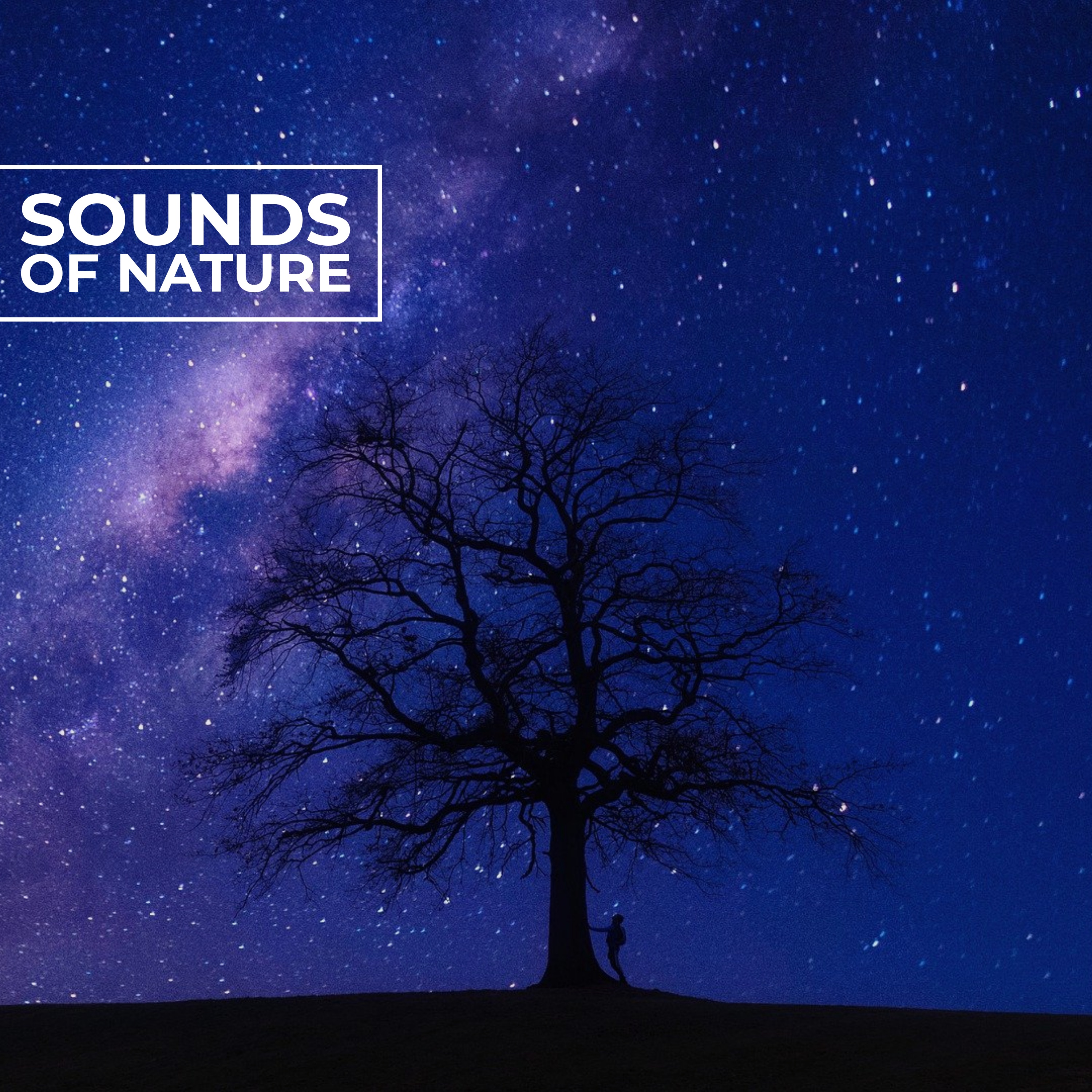 Sounds of Nature album cover