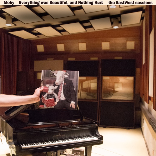 Everything Was Beautiful, And Nothing Hurt (The EastWest Sessions) album cover