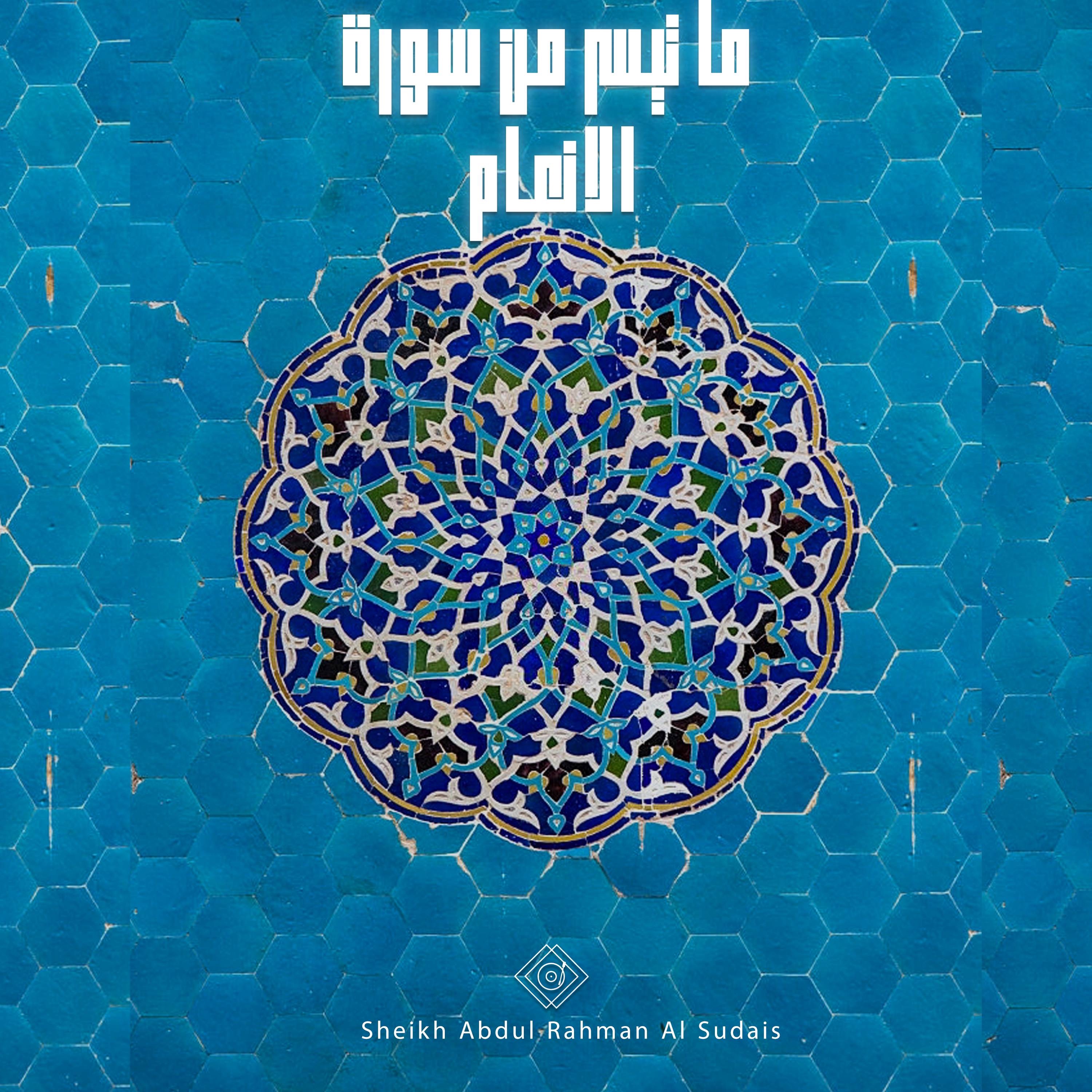 ما تيسر من سورة الانعام - Single album cover