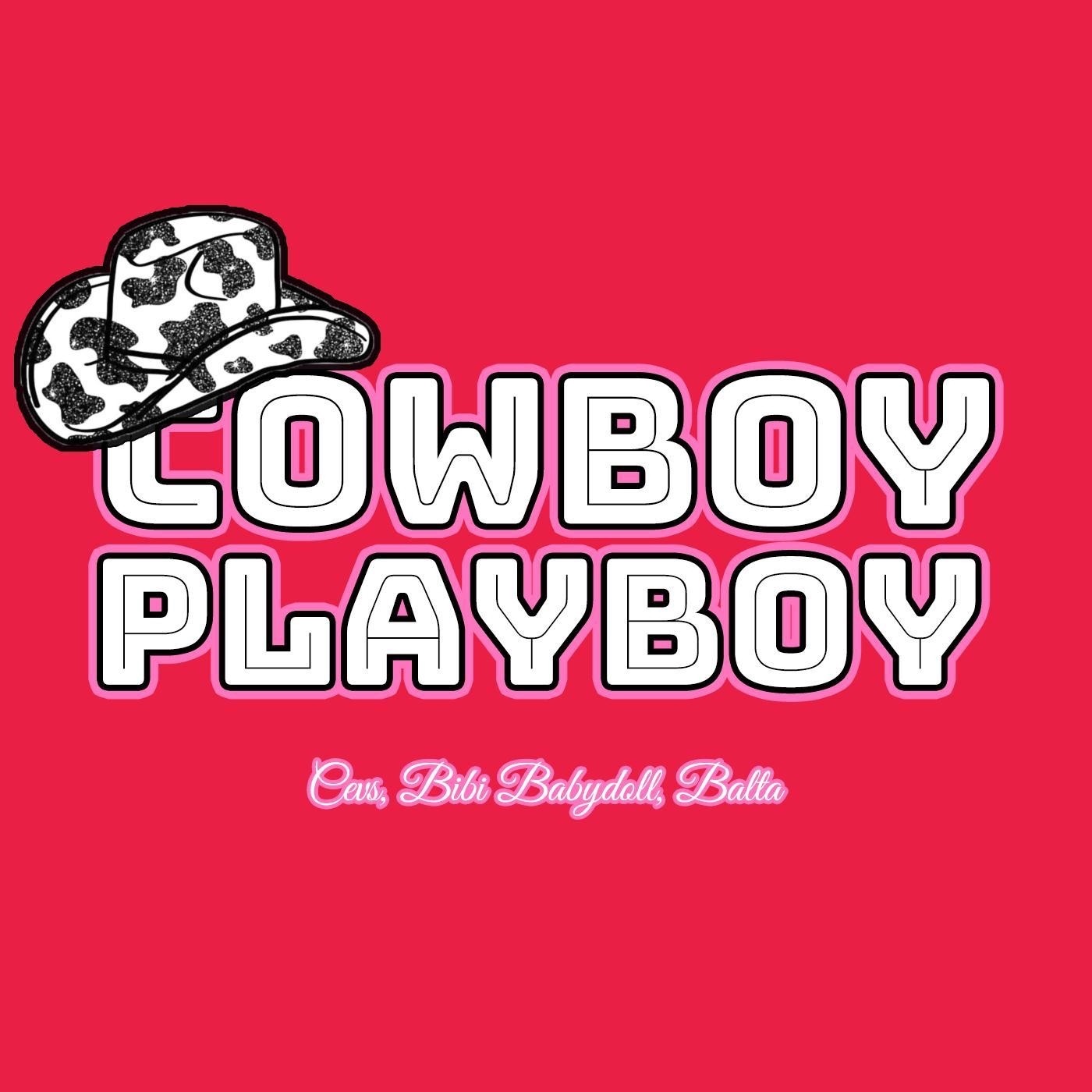 Cowboy Playboy (feat. Bibi Babydoll & Balta) - Single album cover