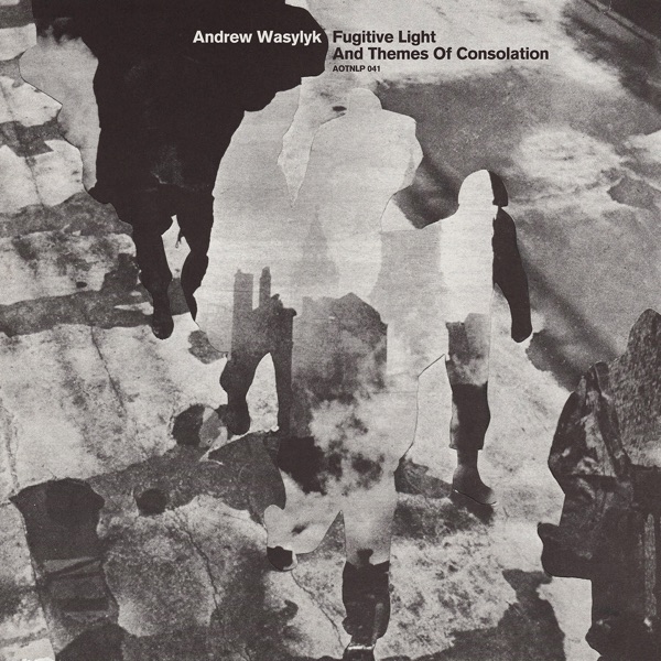 Fugitive Light and Themes of Consolation album cover