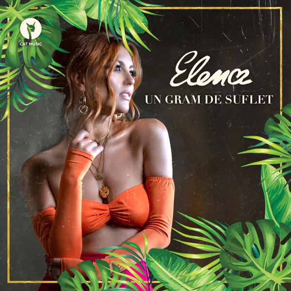 Un gram de suflet - Single album cover