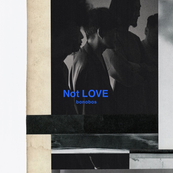Not LOVE - Single album cover