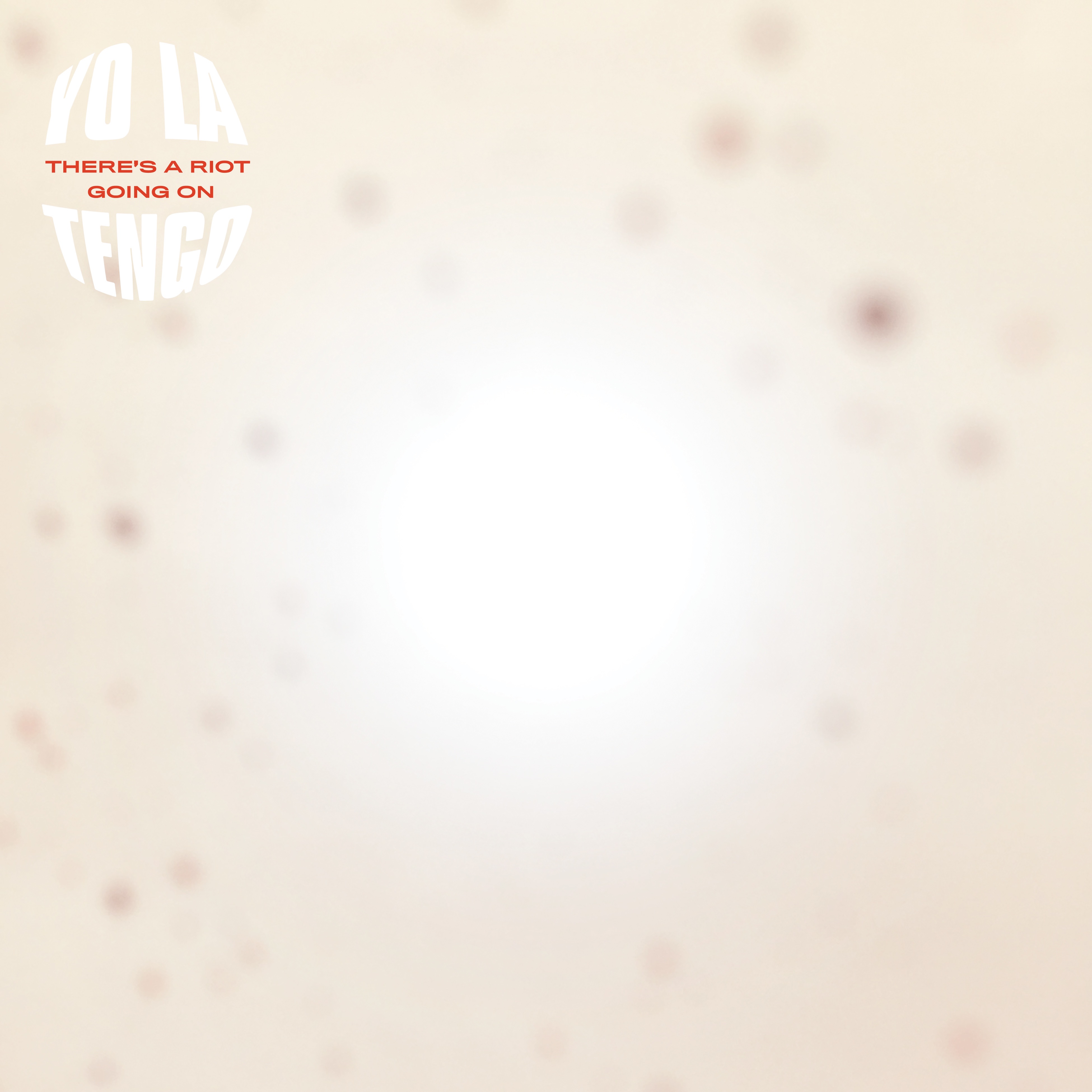 There’s a Riot Going On album cover