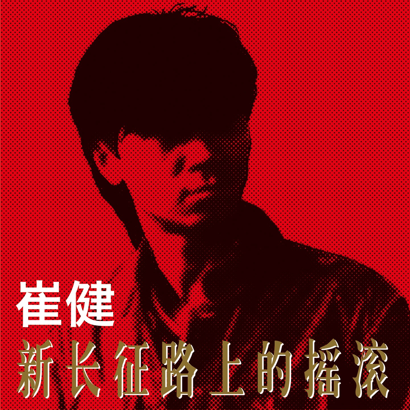 新长征路上的摇滚 album cover