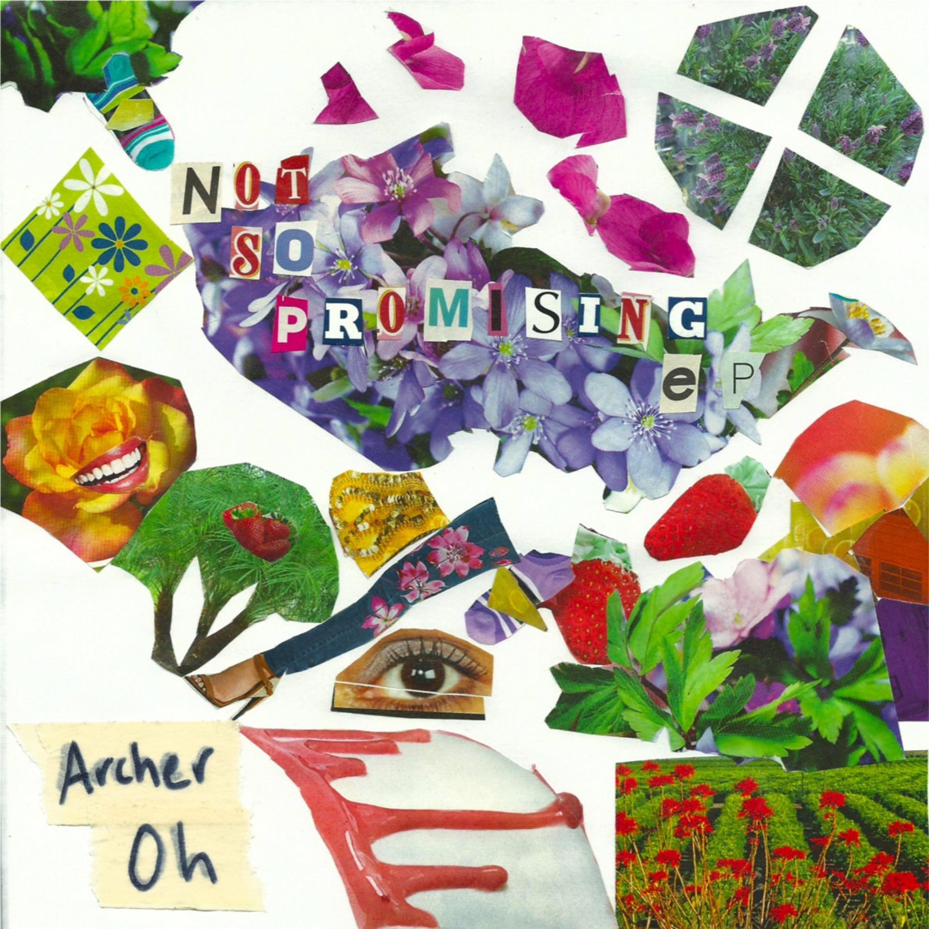 Not So Promising - EP album cover