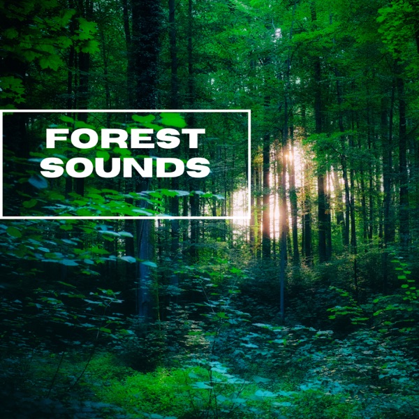 Forest Sounds: Inside the Forest Sounds - EP album cover
