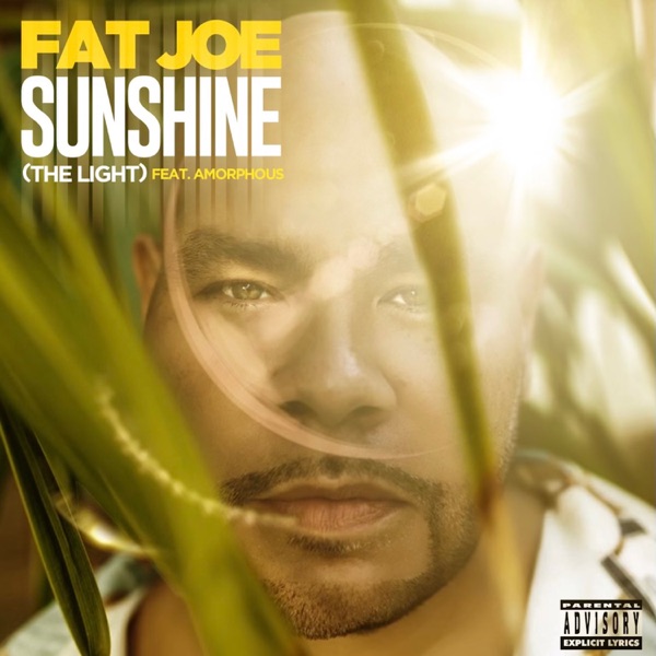 Sunshine (The Light) - Single album cover