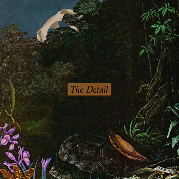 The Detail - Single album cover