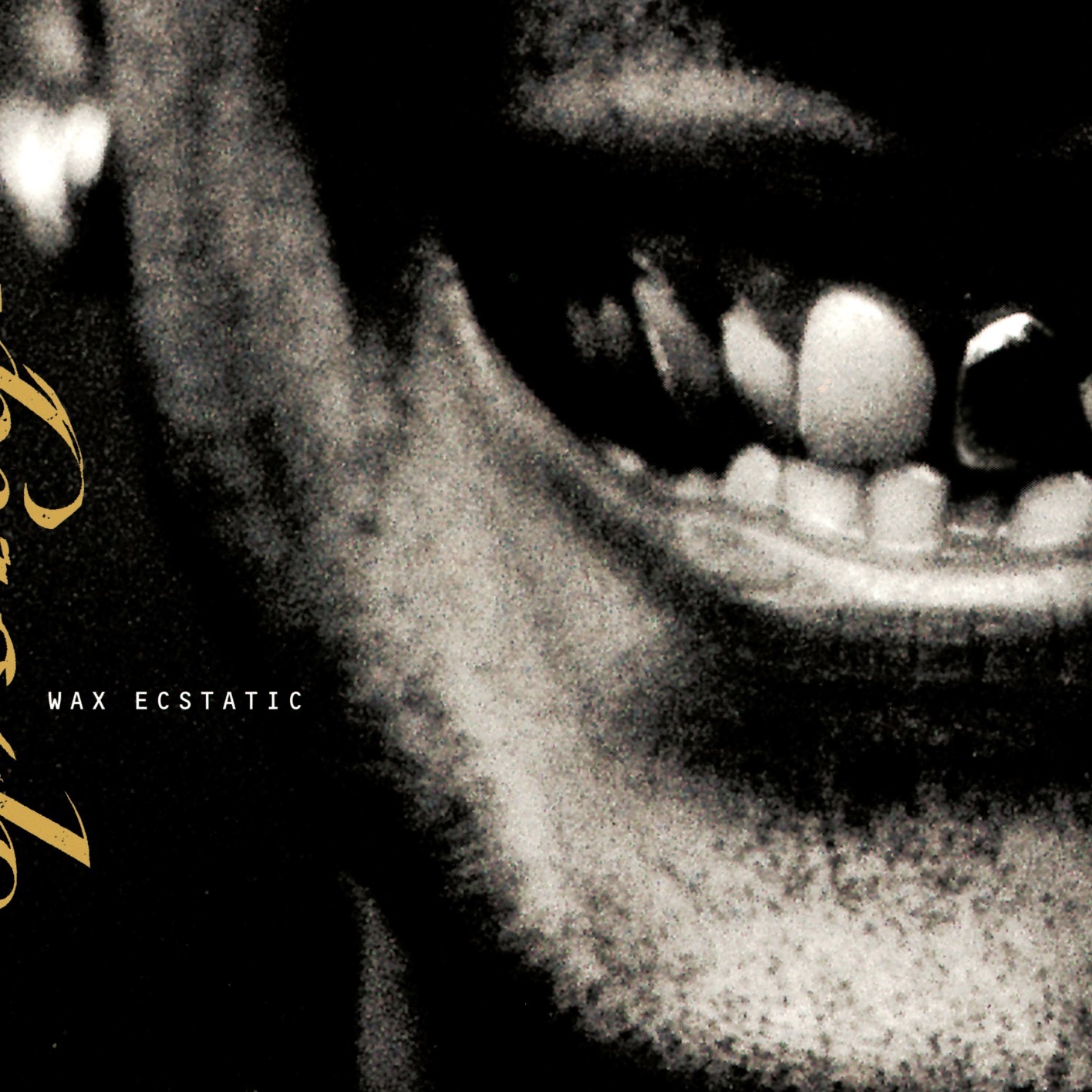 Wax Ecstatic album cover