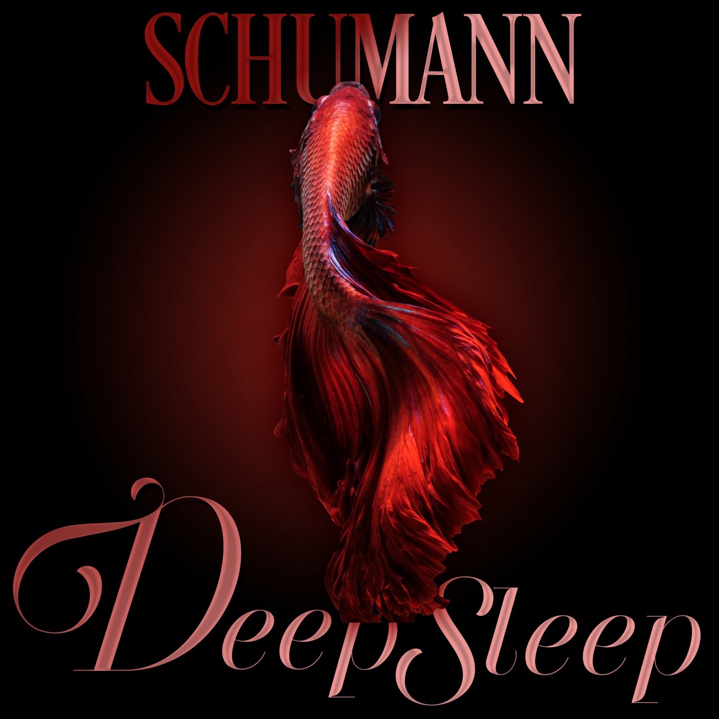 Schumann Deep Sleep album cover