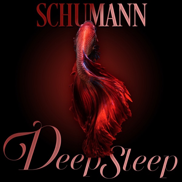 Schumann Deep Sleep album cover