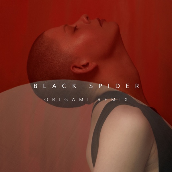 Black Spider (Origami Remix) - Single album cover