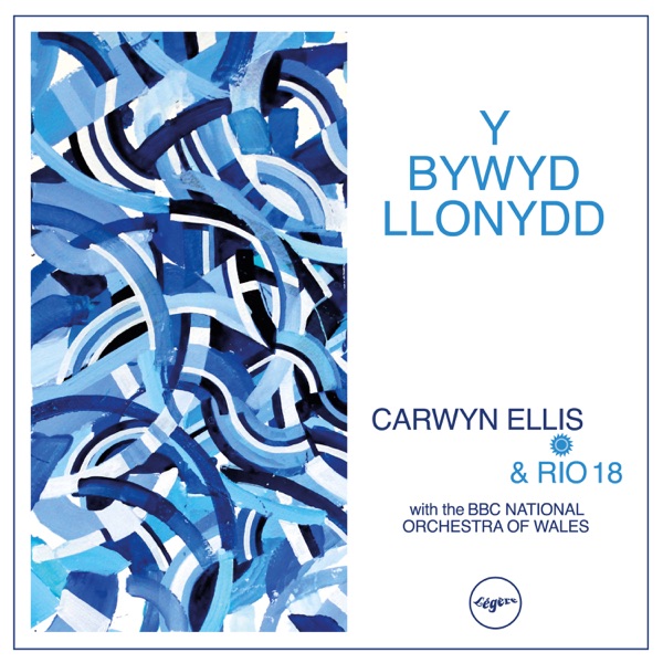 Y Bywyd Llonydd (with BBC National Orchestra Of Wales) - Single album cover