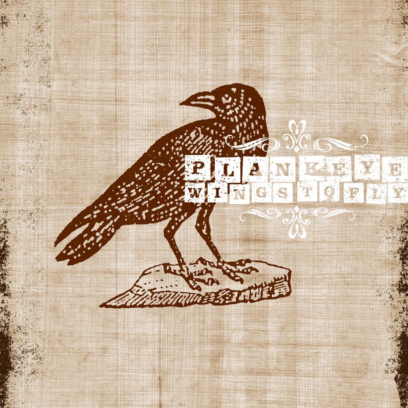 Wings to Fly album cover