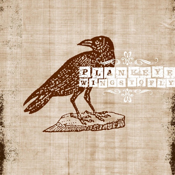 Wings to Fly album cover