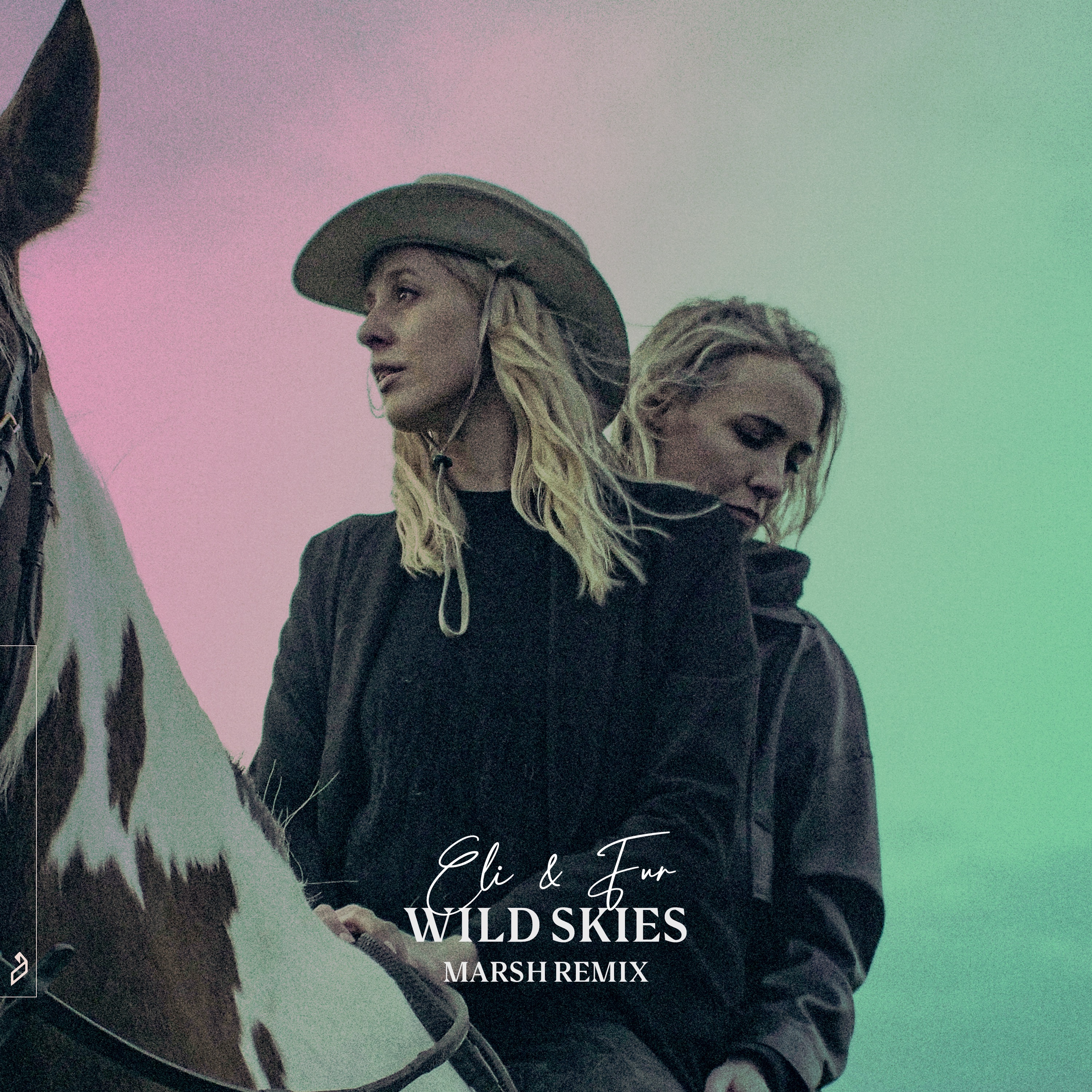 Wild Skies (Marsh Remix) album cover