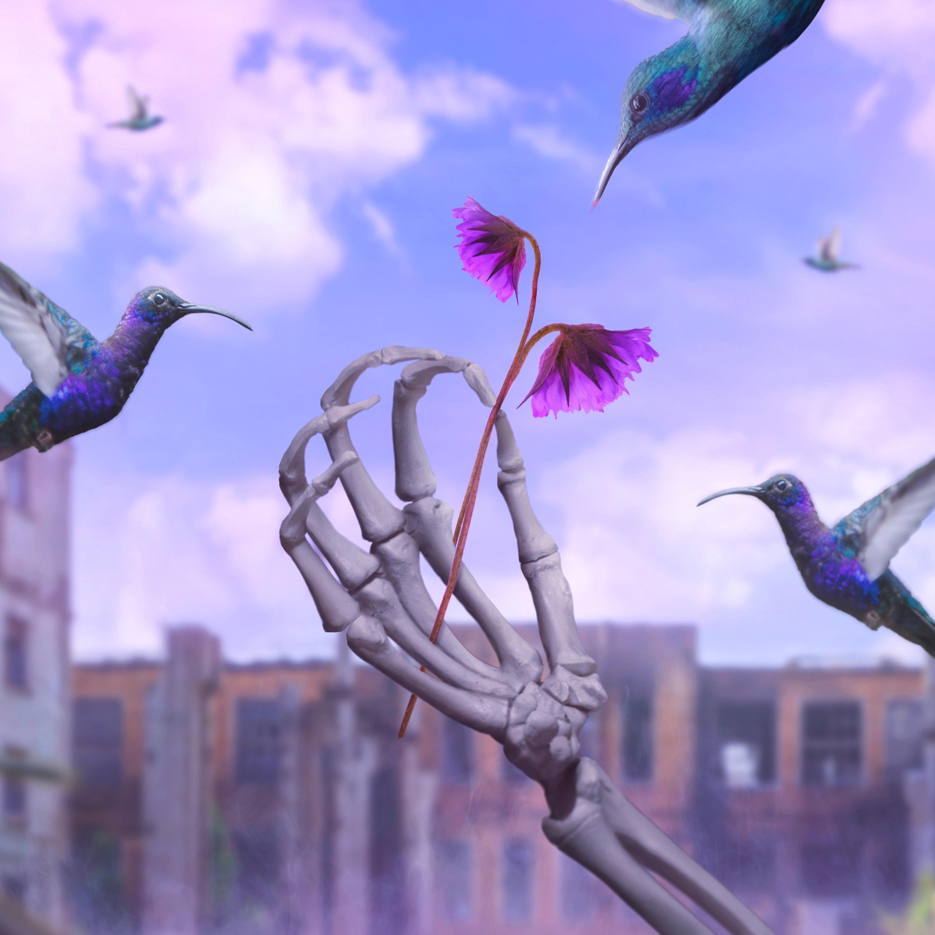Hummingbird - Single album cover