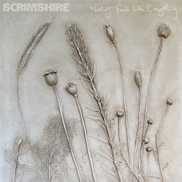 Nothing Feels Like Everything album cover