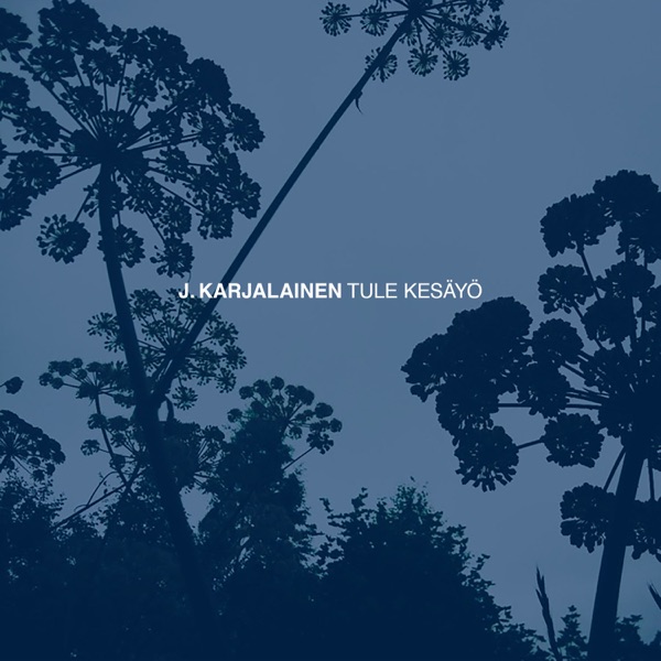 Tule kesäyö (Radio Edit) - Single album cover