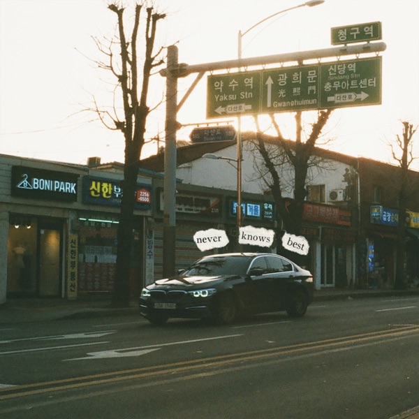 Never Knows Best - Single album cover