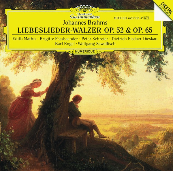 Brahms: Liebeslieder-Walzer album cover