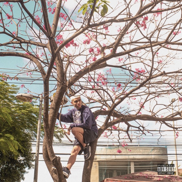 Flowers Bouquet - EP album cover