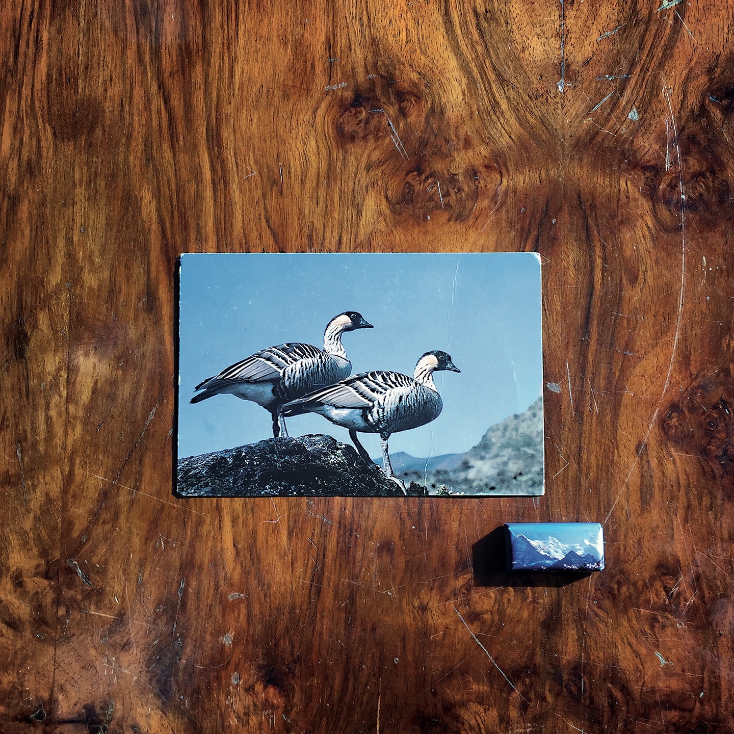 Il numero sette album cover