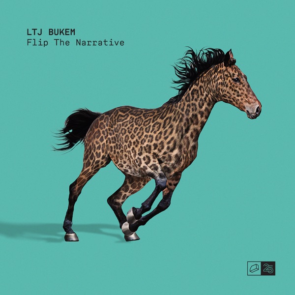Flip the Narrative - Single album cover