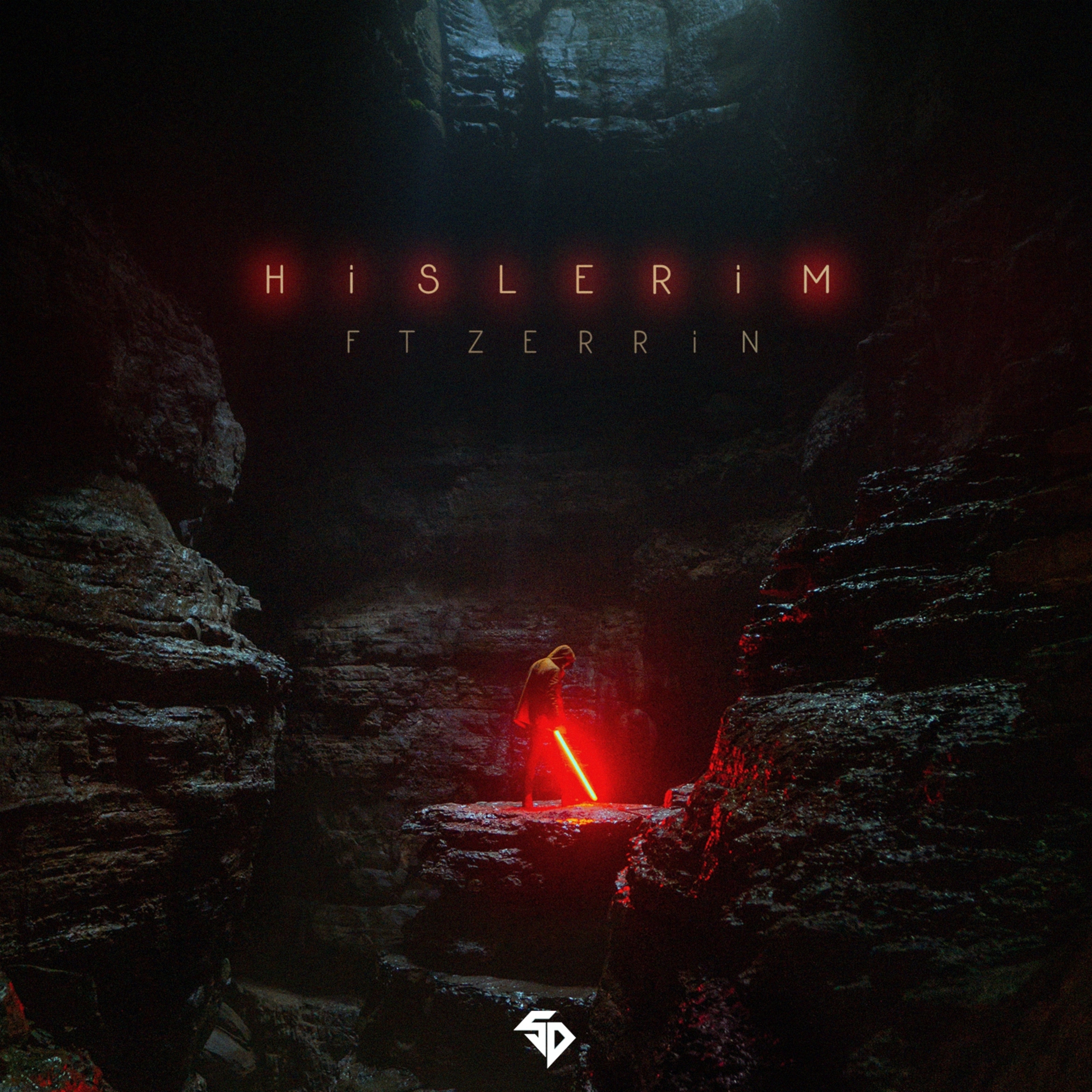 Hislerim (feat. Zerrin Temiz) - Single album cover