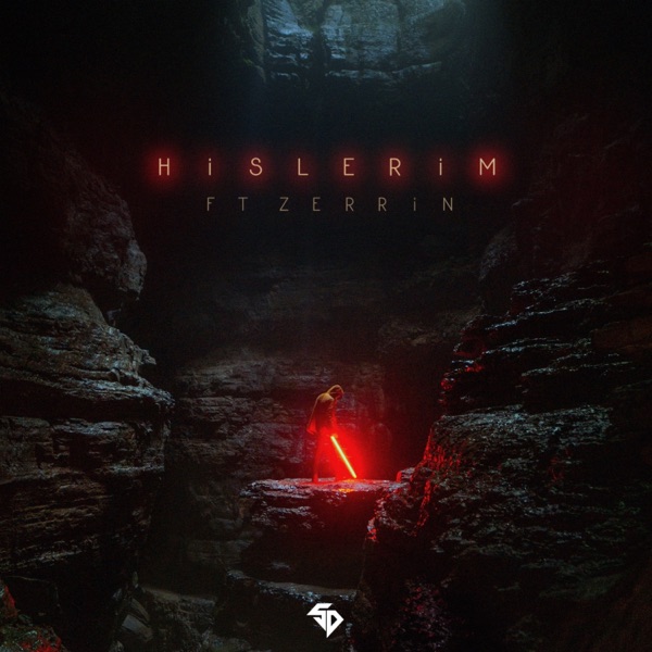 Hislerim (feat. Zerrin Temiz) - Single album cover