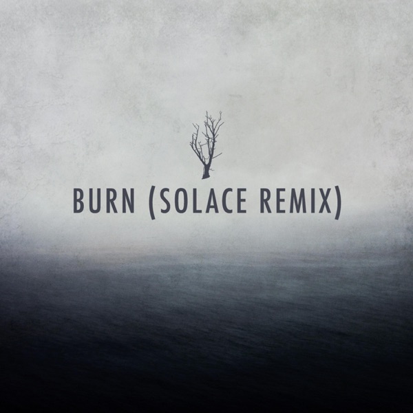 Burn (Solace Music Remix) - Single album cover