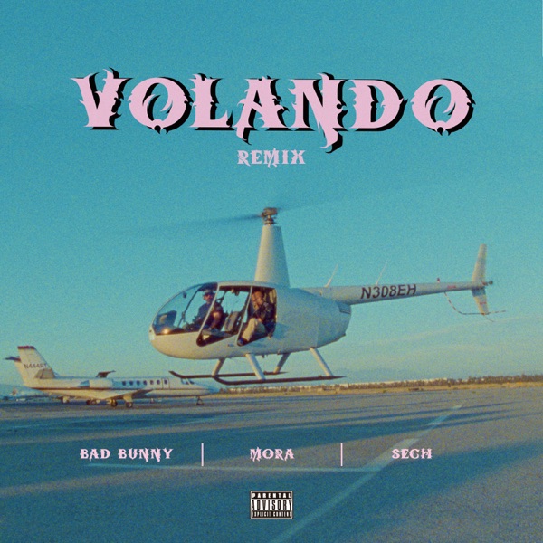 Volando (Remix) - Single album cover