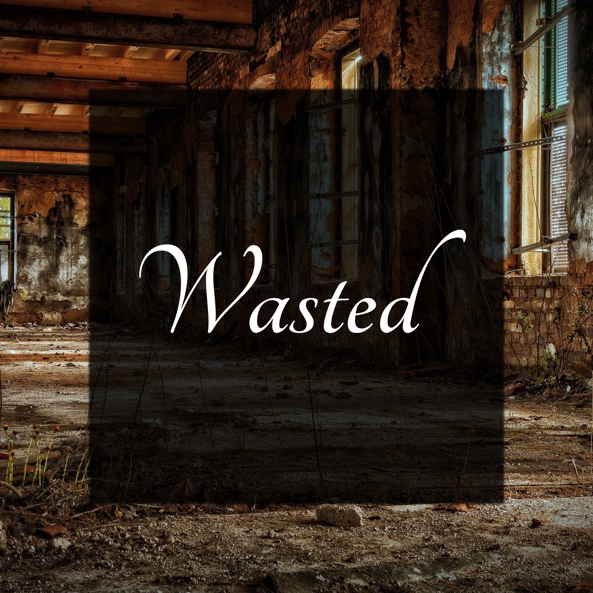 Wasted - Single album cover