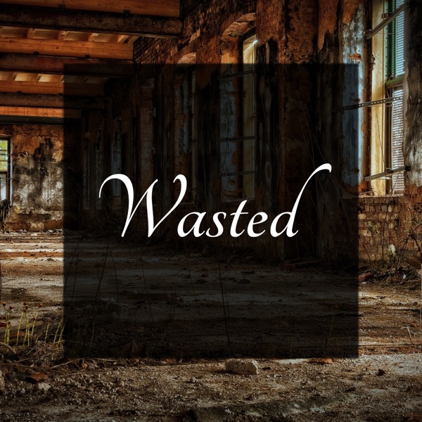 Wasted - Single album cover