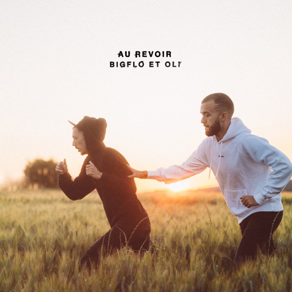 Au Revoir - Single album cover