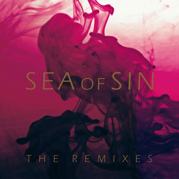 The Remixes album cover